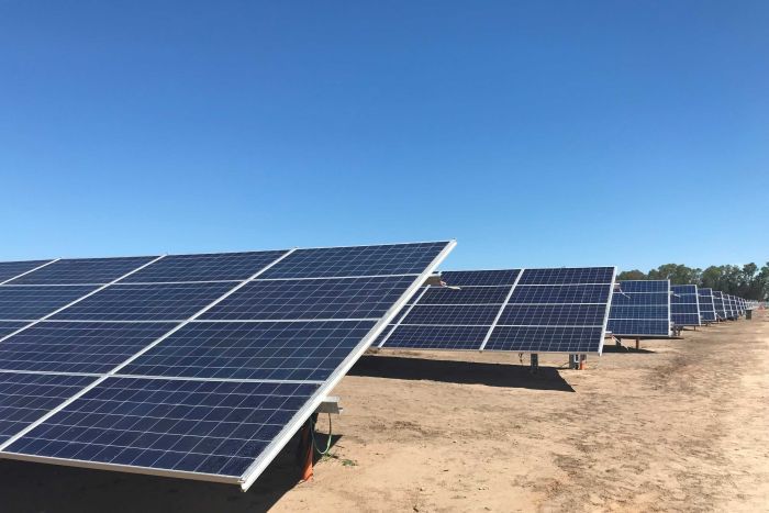 Carnegie shareholders quiz wave power company on poor performance Rows of solar panels in a field.