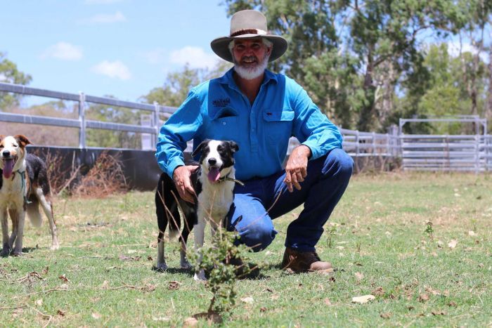 Des Bolton grazier a farmer with his cattle dogs