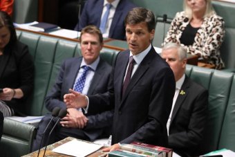 Angus Taylor at the despatch box Taylor is in parliament, mid speech, wearing a dark suit.