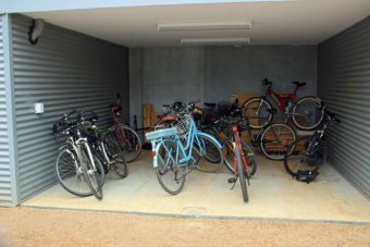 Bikes Bikes