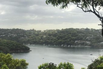 Middle Cove wide riverway with boats surrounded by greenery